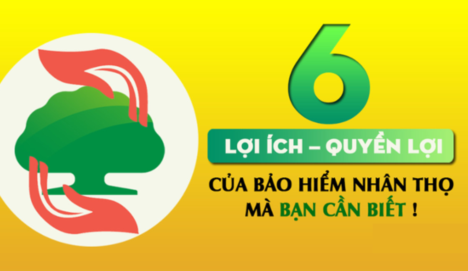6-loi-ich-quyen-loi-cua-bao-hiem-nhan-tho-ma-ban-can-biet